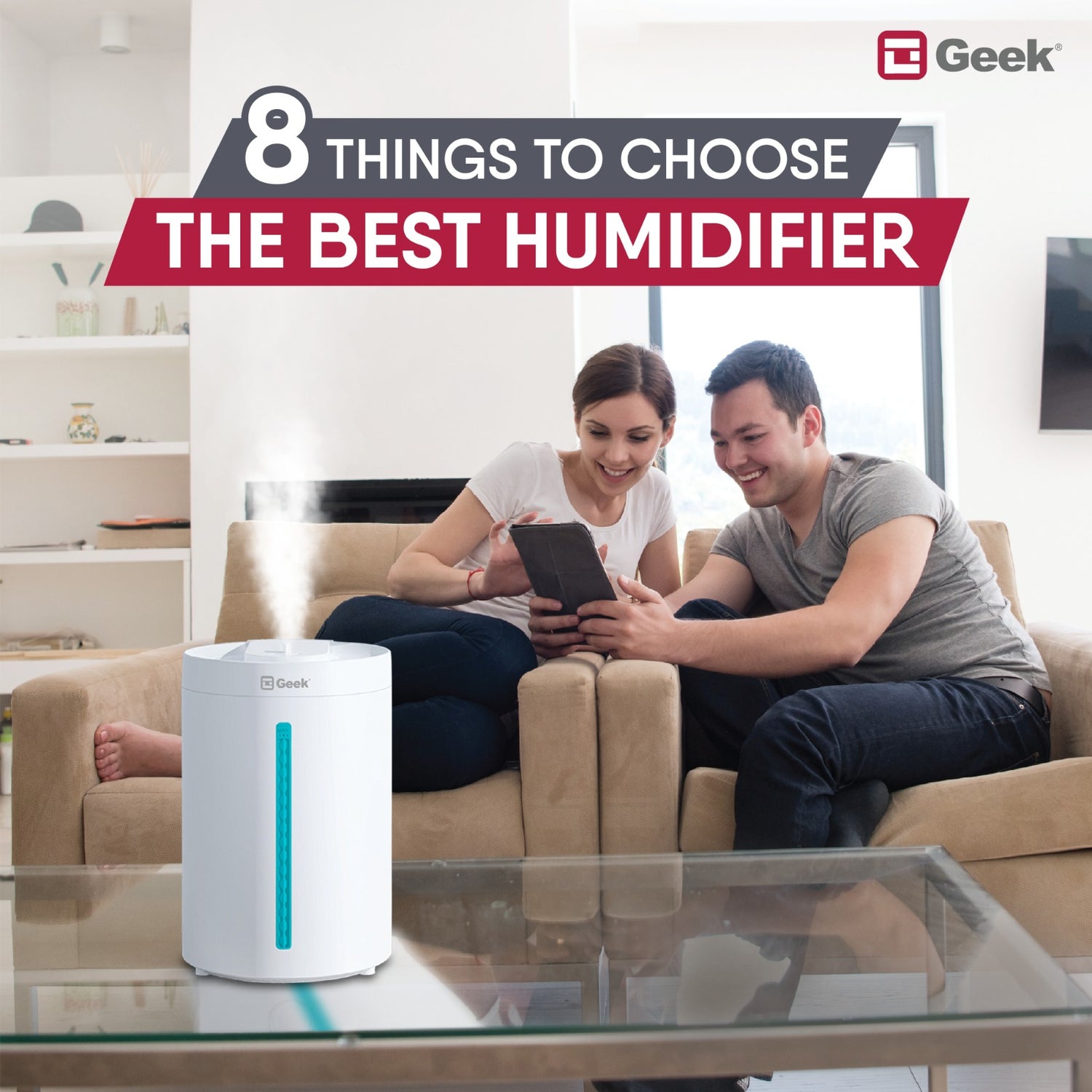 Best In Humidifier